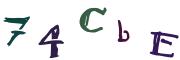 Image CAPTCHA
