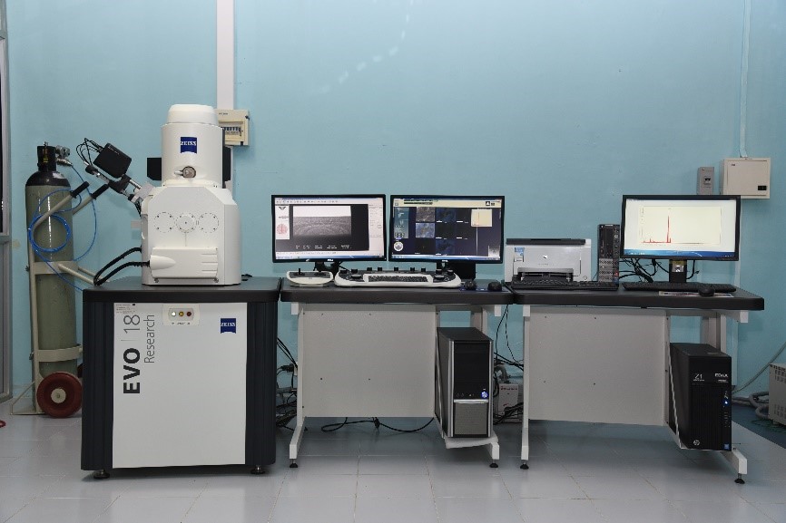 scanning Electron Microscopy