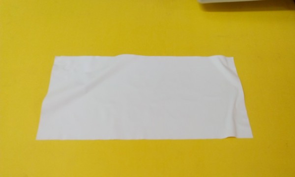 Photograph of PZT tape (300 x 120 mm2)2